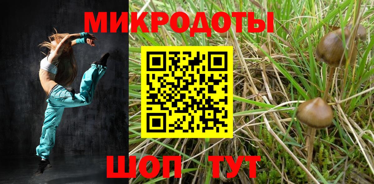 Псилоцибиновые грибы Magic Shrooms  Псилоцибиновые грибы мицелий  Балашов  купить  сайты  Вход с VPN 